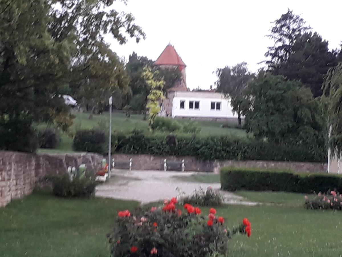 Bed and Breakfast Fényes Vinorium à Sopron Extérieur photo